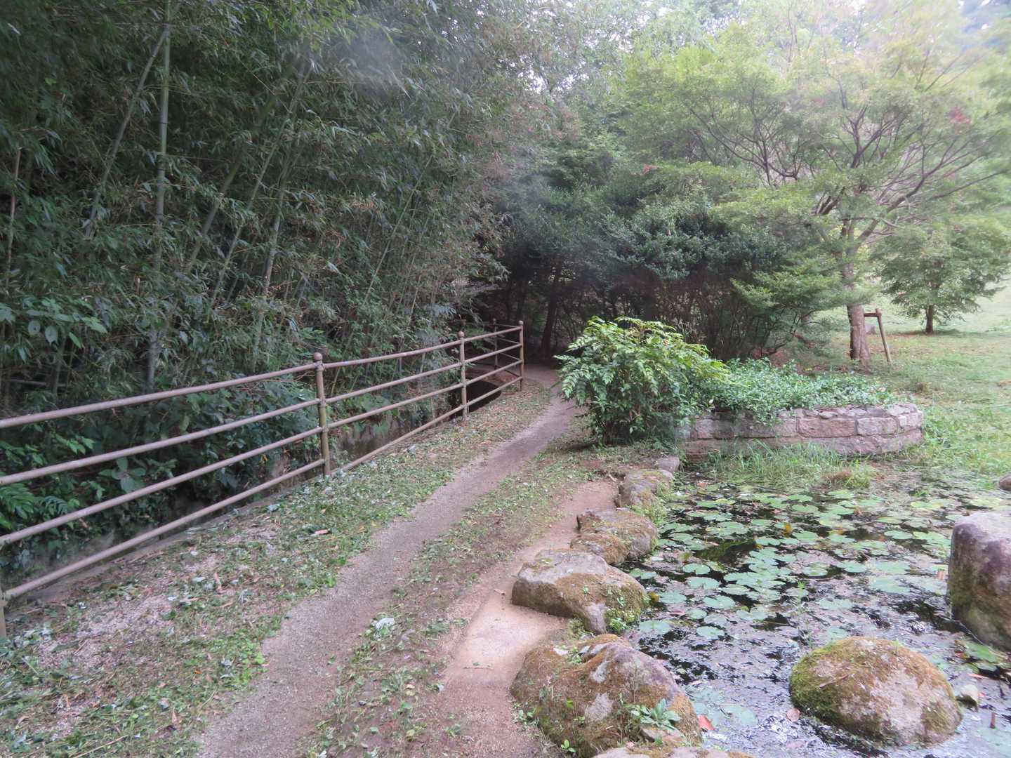 このみ公園Ｐからスタート