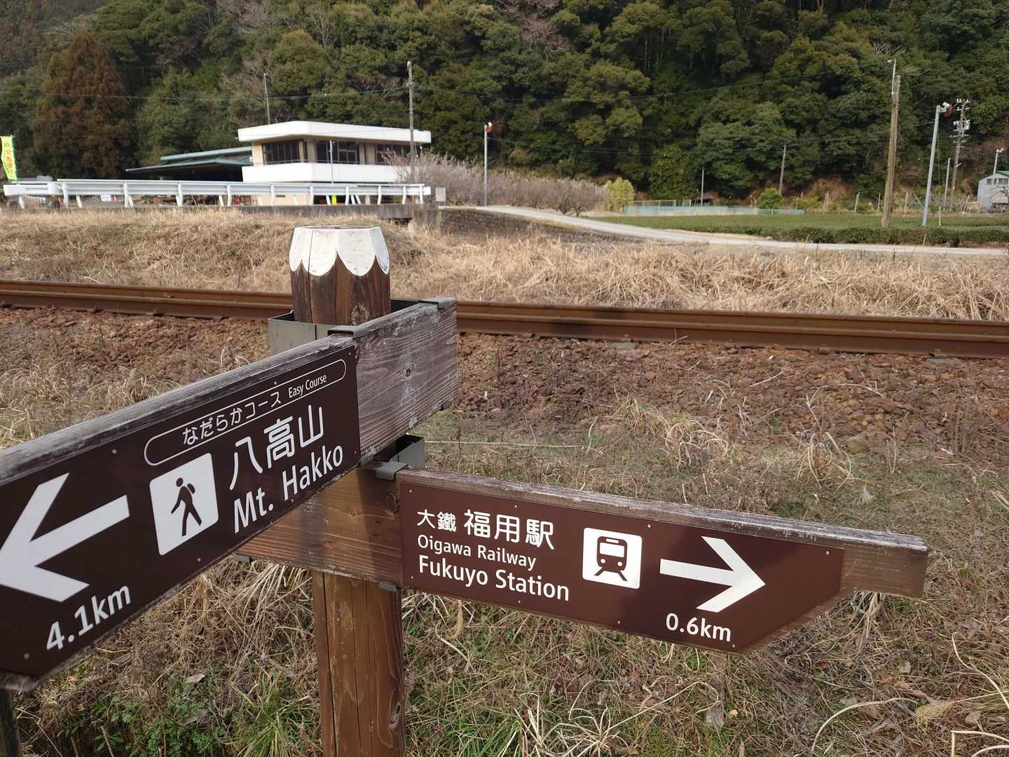 一気に下ってきました❗