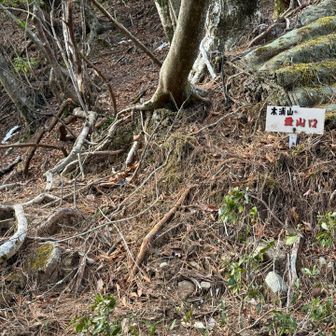 峠からすぐに木浦山への稜線に取り付く。