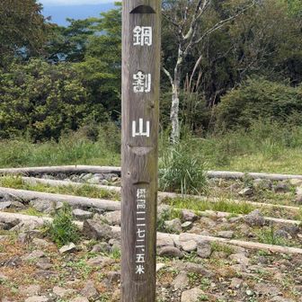 久々に見た！今日は天気良くても富士山は見えませんでした(っ ˃̣̣̥᷄︵˂̣̣̥᷅ )っ⁾⁾