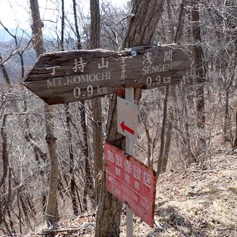 分岐👈
(脚の様子も微妙なので…)

８号橋へ下ります🐾
