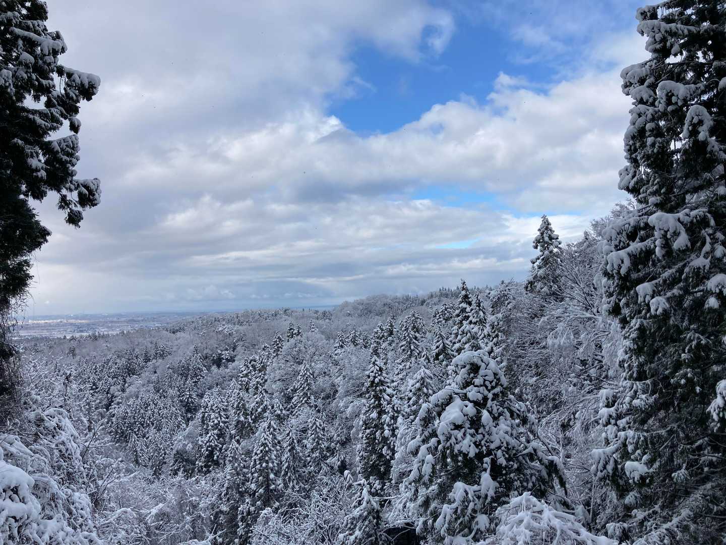 富山平野の一部がくっきりと