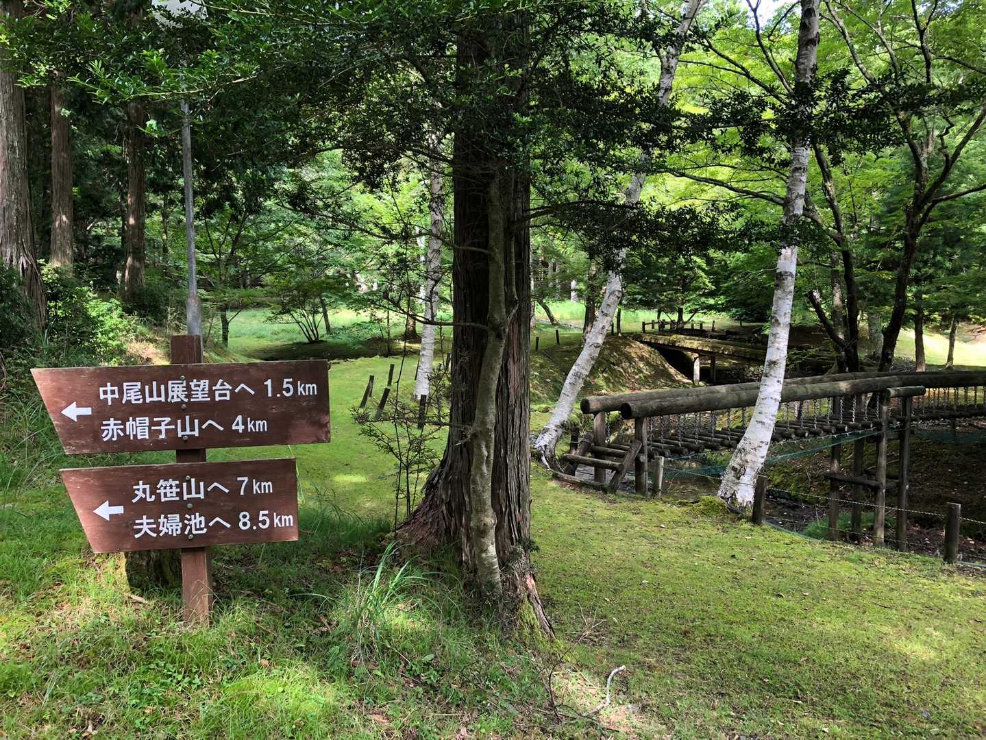 グラススキー場🫗から登る