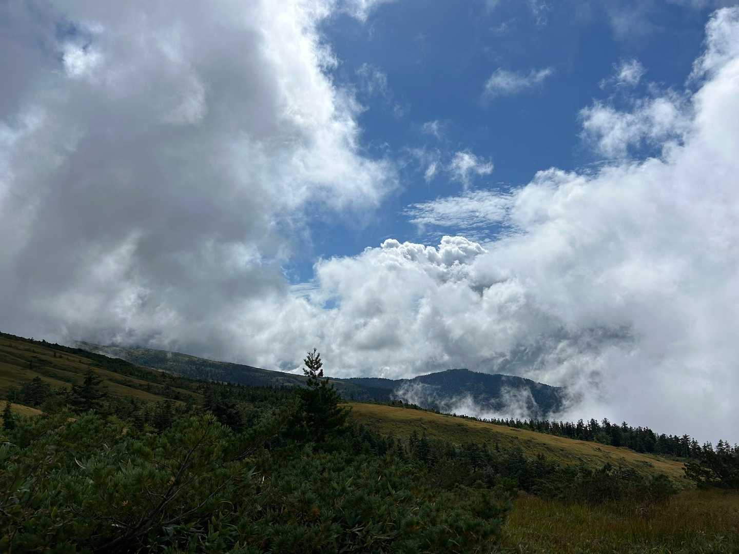 薬師岳登山口-五光岩ベンチ-北ノ俣岳 往復コースの写真