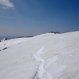 ビクトリーロードを歩いて、