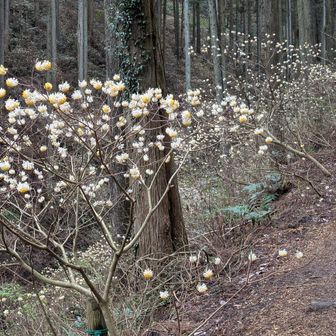 友達と歩いたのを、思い出しながら、、、