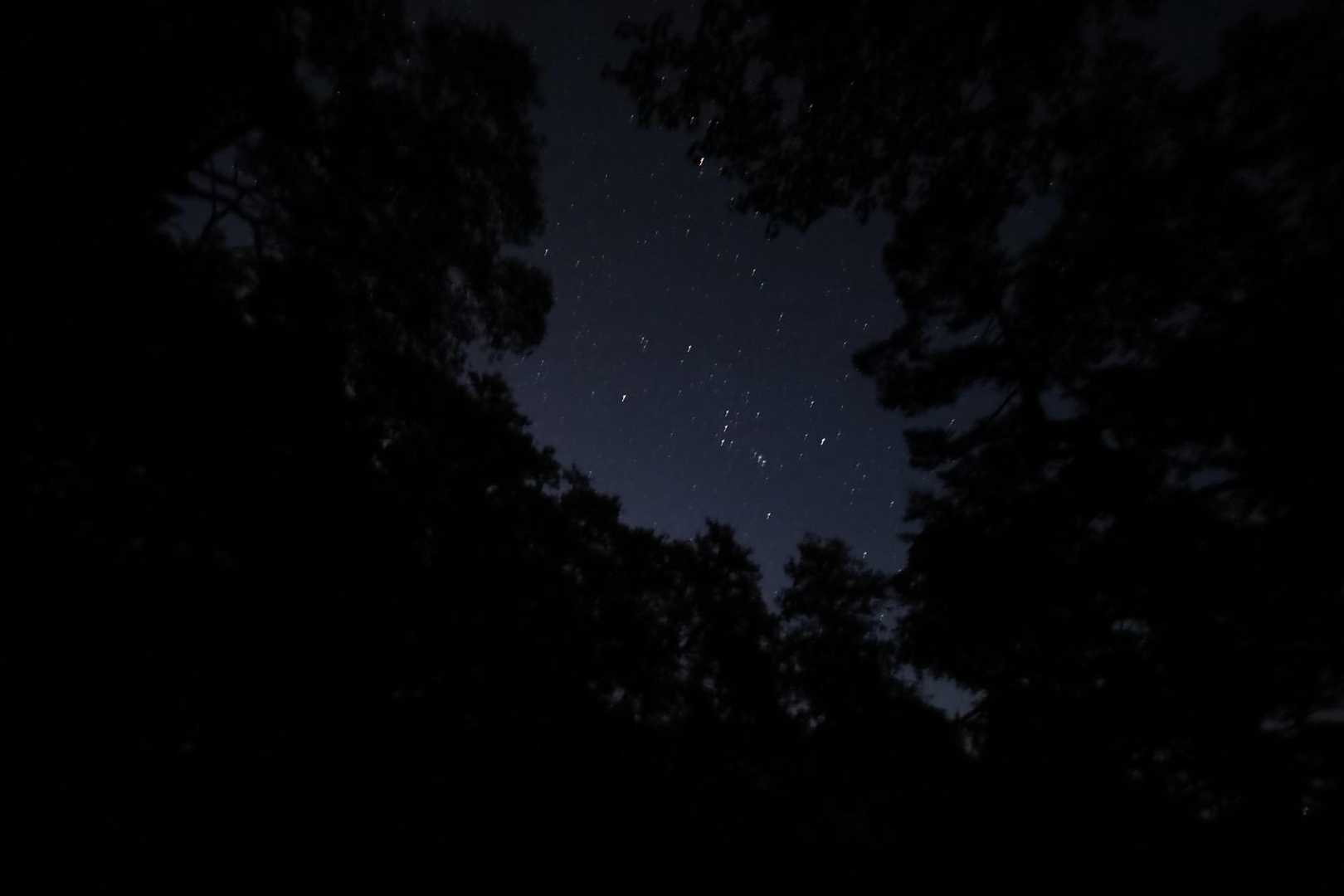 ｿﾛﾘｿﾛﾘ 山頂へ‎

🌳の隙間からオリオン座🌟
みつけた時は大興奮💕