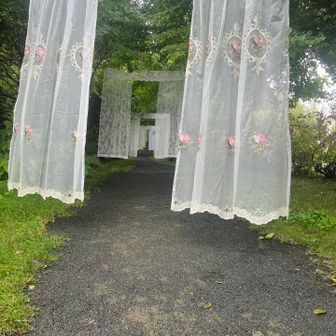 カーテンのトンネル♪