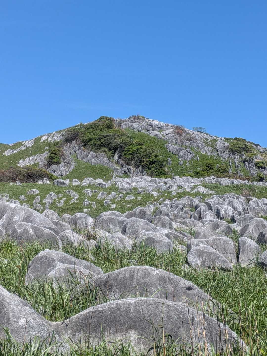 吹上峠-大平山-四方台-貫山 周回コースの写真