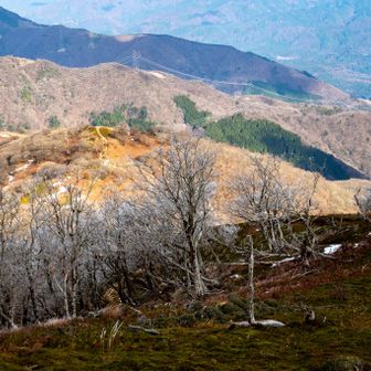 カメラを構えると曇るあるある。