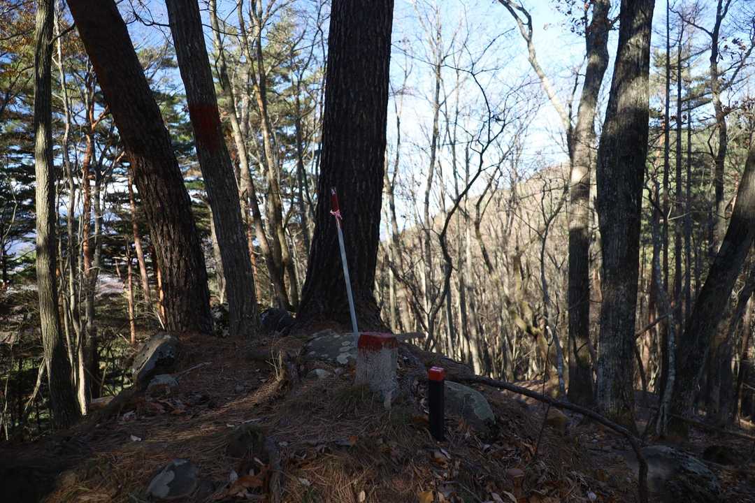 板垣山の山頂
境界標だけ