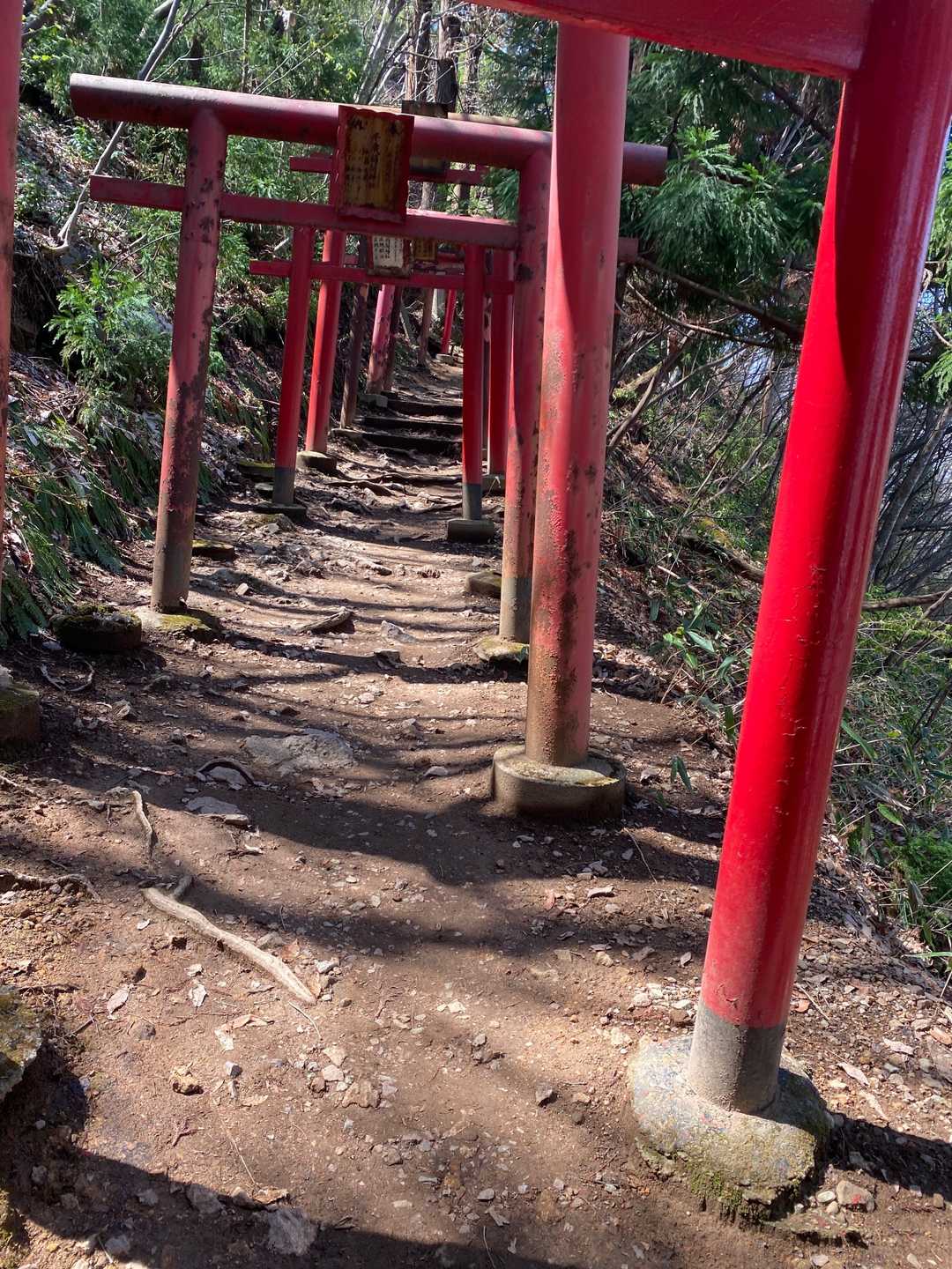 千歳山-護摩山 往復コースの写真