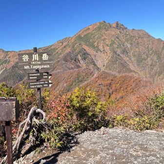 最高〜⛰️
