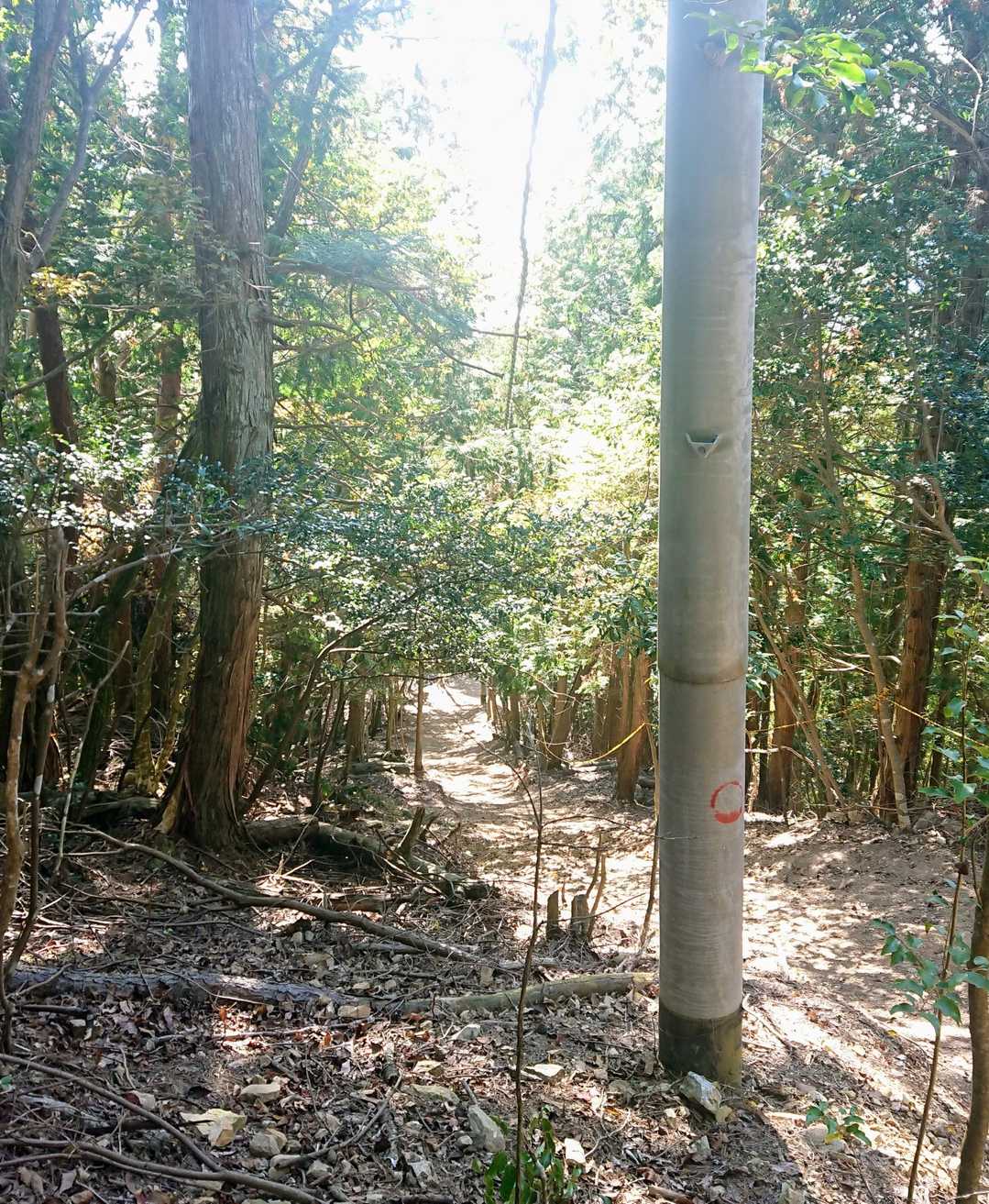こんな急坂にどうやって建てたんだろう って気になってたまらん