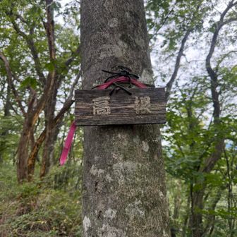 高根到着
五万石が唯一の展望無しって言ったけど…ココも無かった🤣