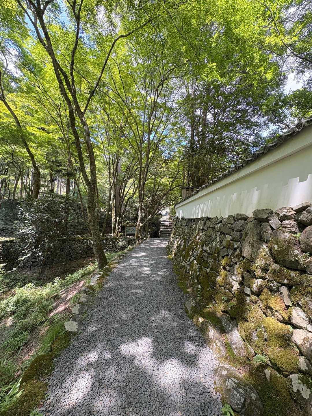 鷹峯源光庵前バス停-釈迦谷山-京見峠-上ノ水峠-仏栗峠-福 縦走コースの写真