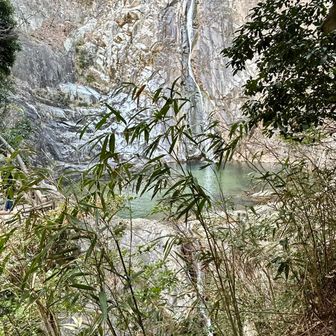 同 透明で美しい水の色です