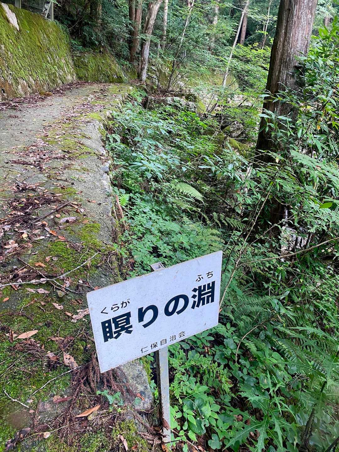 涼しくていいんだけど、メマトイがものすごく飛んでてて手にもバシバシ当たって😭気持ち悪っっ