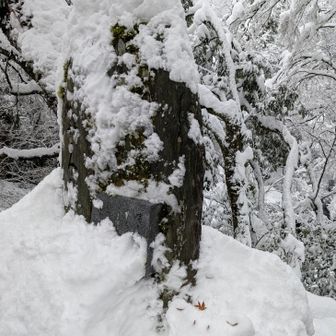 こおろぎ橋の石碑
しなっと🐸☃️作成🐦
手袋じゃうまくいかず、素手で整えてみたけど、うまくいかない😂
道具を次回から持参します❄️

鴨池観察館での野鳥観察🦆🎶
新雪❄の鶴仙渓
すごーく楽しかったです😊
美しいものを沢山見ることができて幸せです✨
次は⛷️か雪山か🦆観察か、忙しいYO🐦️
今日もありがとうございました😁
