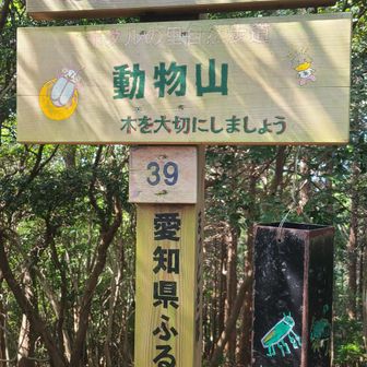 動物山
ならば気持ちを引き締めねば！