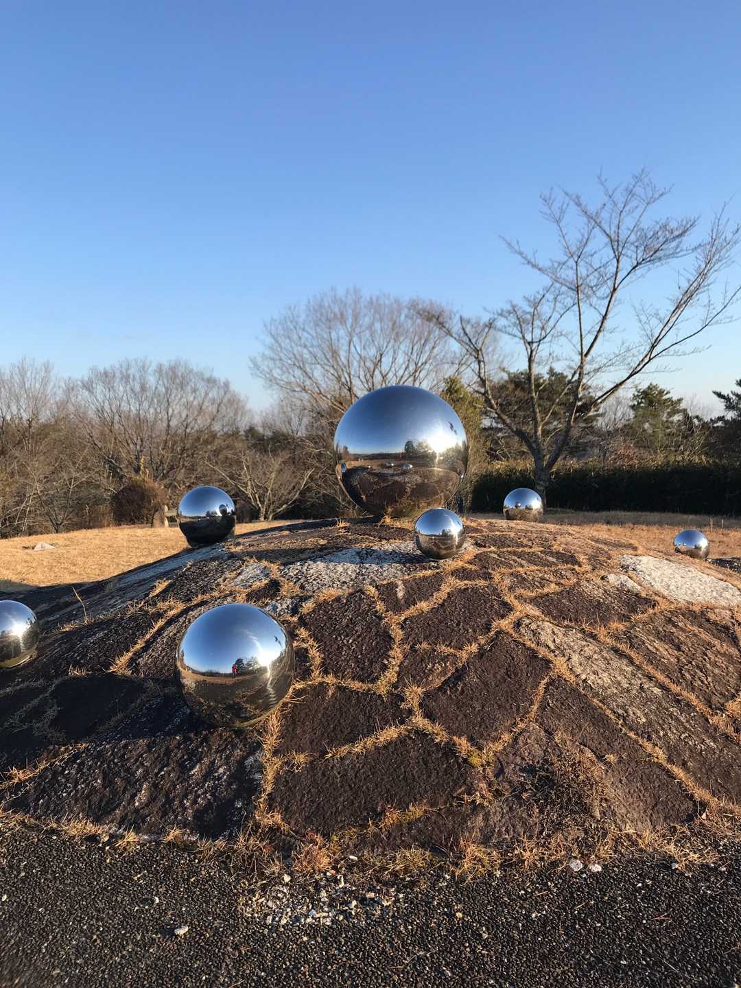 出たオウム‼️