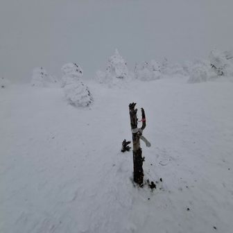 山頂標識より、↩️この後、方向見誤り、ちょいと迷走⚠️❗