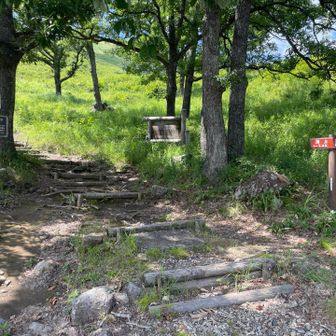 いこいの村ひろしま駐車場の北にある深入山への東登山口です。ここから登っていきました。
