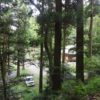 また金泉寺まで戻ってきました