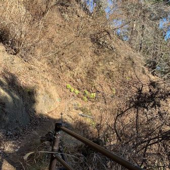 市街地に降りていく山道も、今までと風景が変わり、楽しみながら降りた。