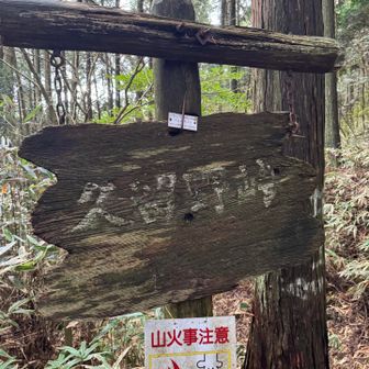プレイボーイジィジィ兄貴と二人で徘徊スタート