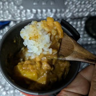 とりあえずカレー食べる
