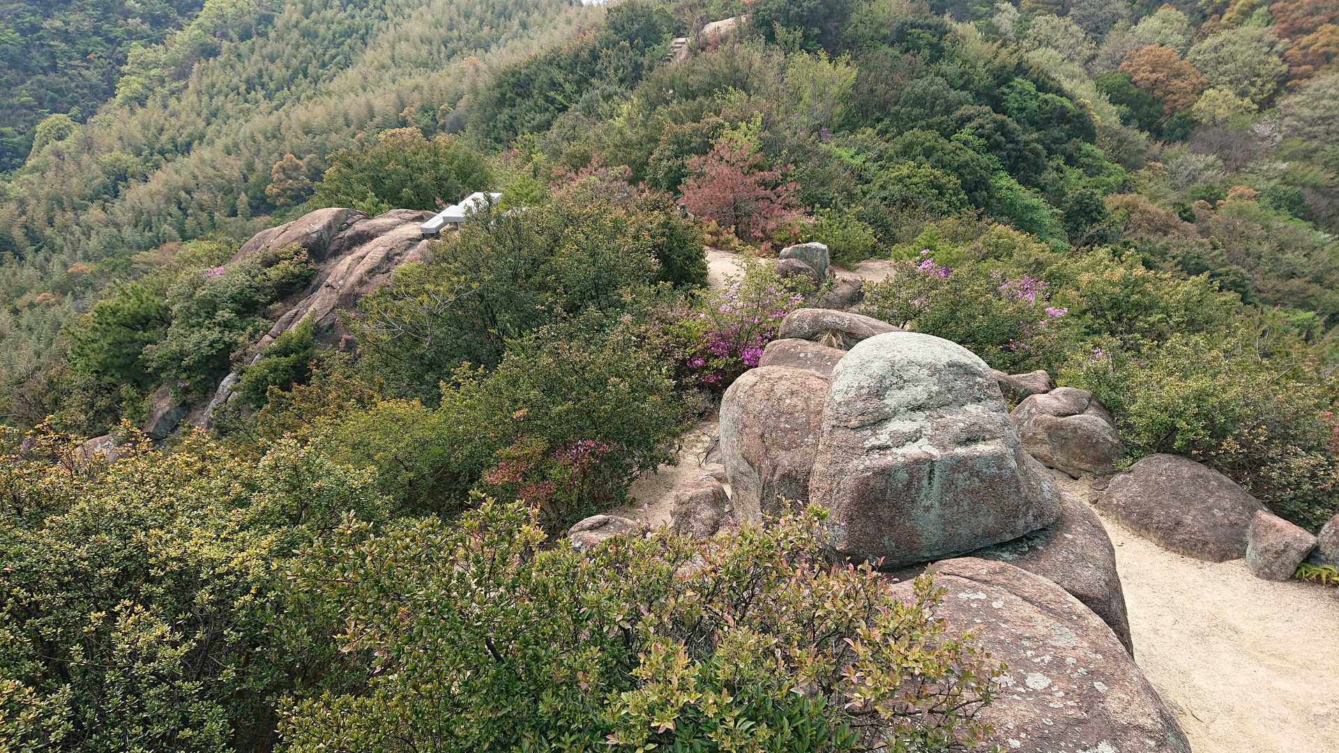 島トレッキングコース入口-高山-飛龍大神-陸軍軍人墓地-開 縦走コースの写真