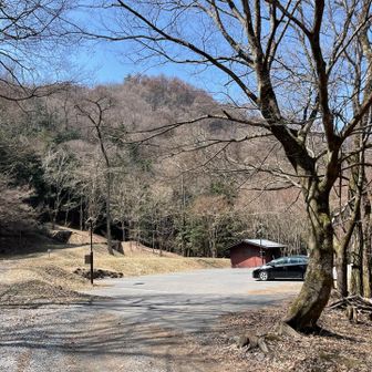 管理棟過ぎてからは林道歩きになりました。車でここまで来れるんですね。
