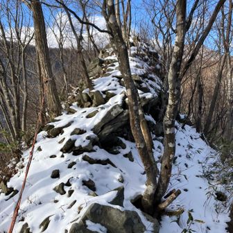 ここは細尾根、ここのロープは助さんが張り替えてくれたとのこと、ありがたい🥺