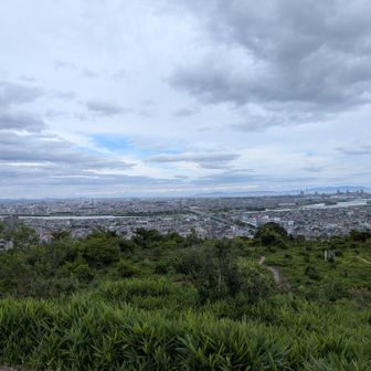 明石海峡大橋、六甲山と加古川