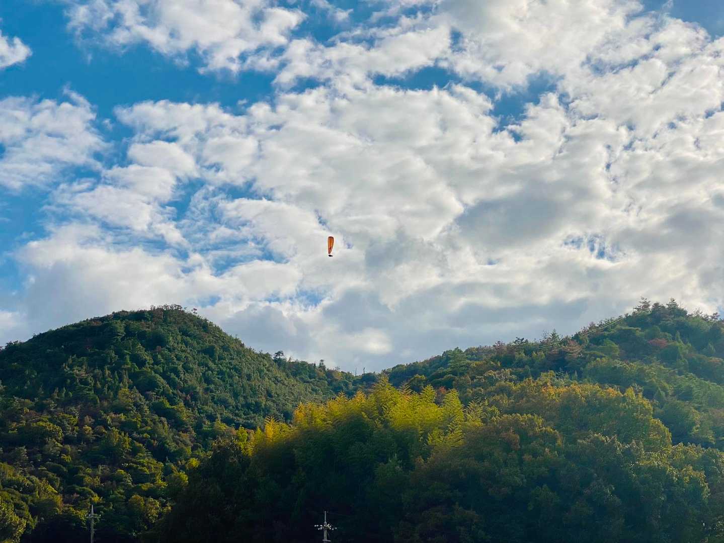 すぐに下山しました。上を見ると、再度チャレンジされていました。ナイスフライト。