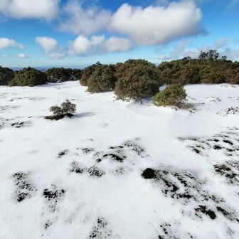 ここが日本庭園なのかなぁ？
風が強い場所みたい、シュカブラはまだ先