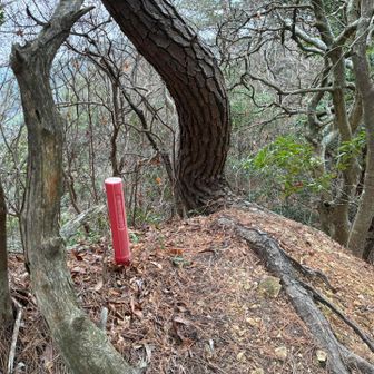 ここが念願の鬼ヶ島👹多分😅