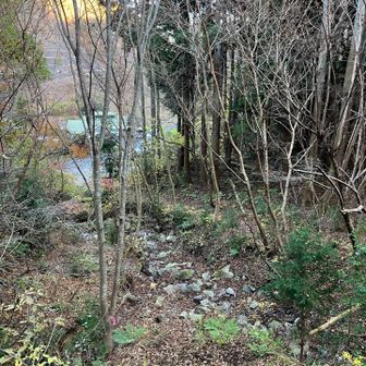 おお、建物だ！
ゴールした時に飲んだ甘酒、おいしかったなあ。