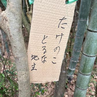 至る所に付いてました
地主さんの並々ならぬ意志が伝わります。
でも！「私有地立ち入り禁止」とは言わないんですね
とても優しく寛大な地主さん♡
通らせていただきますね🙏🤠