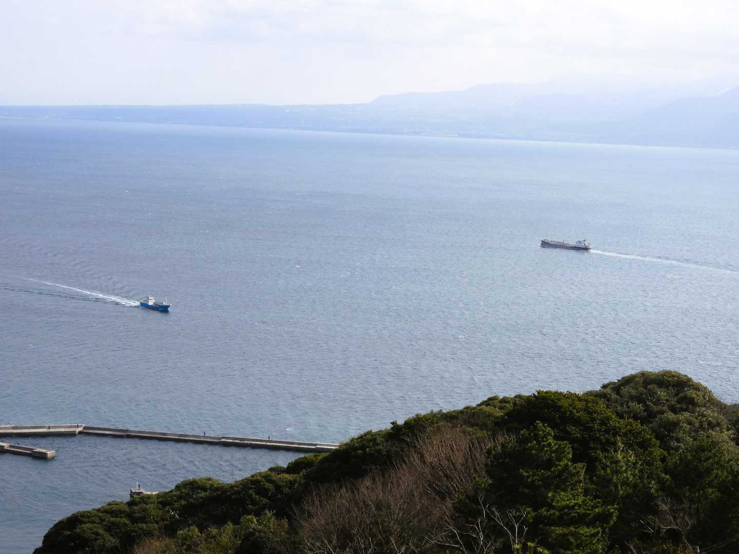 馬着山 往復コースの写真