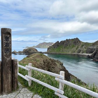 礼文島-レブンアツモリソウ巡り2025-05-24 / ayaの登山データ | YAMAP