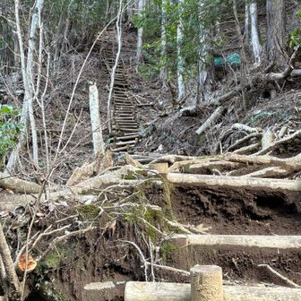 さて、いよいよ登山です。
初っ端から、この階段😱