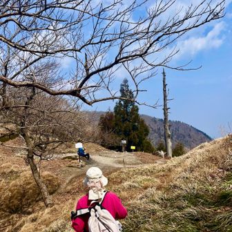 久しぶりの杉峠！