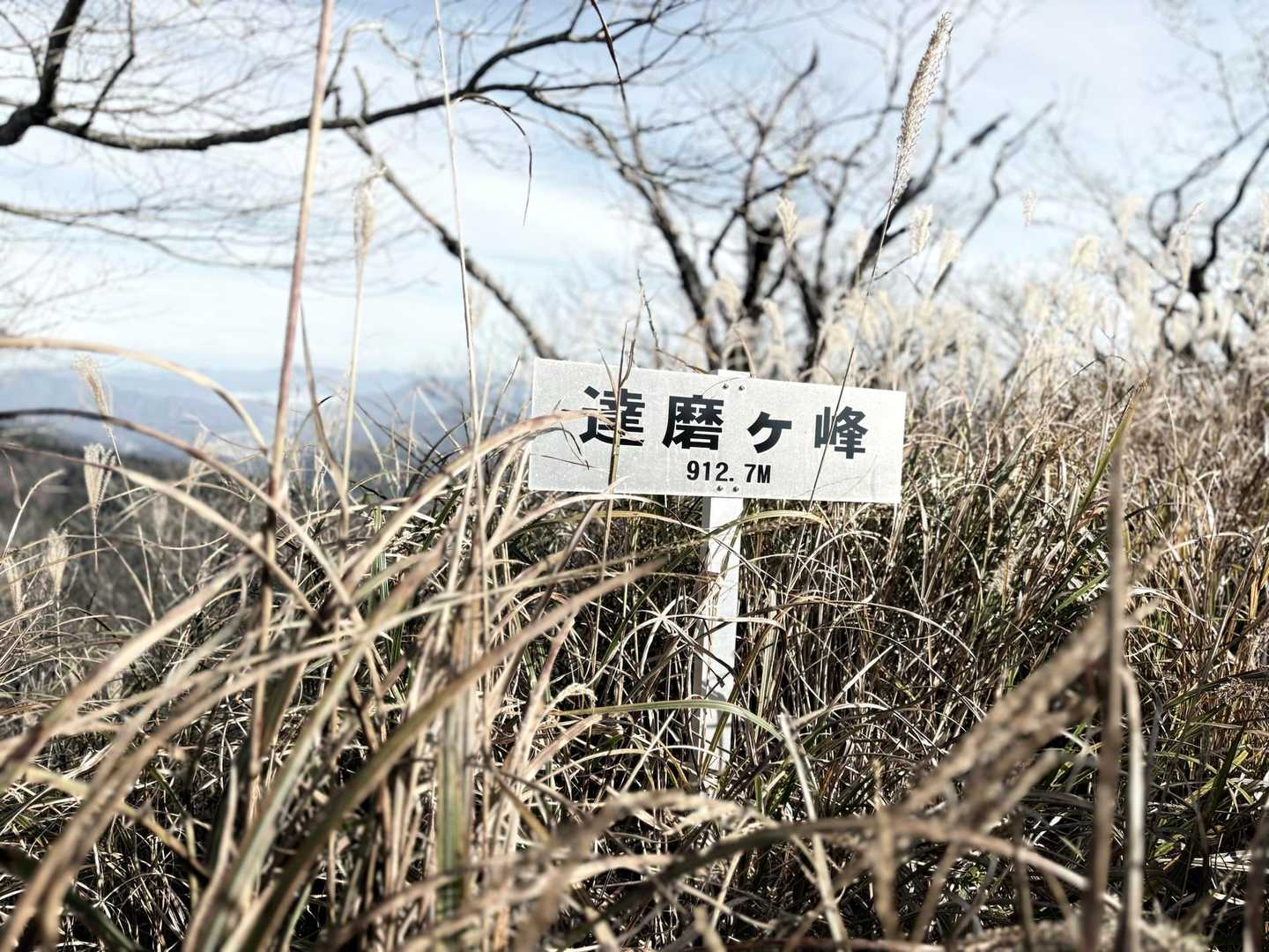 生野高原登山口-達磨ヶ峰-フトウガ峰-段ヶ峰-千町峠 周回コースの写真