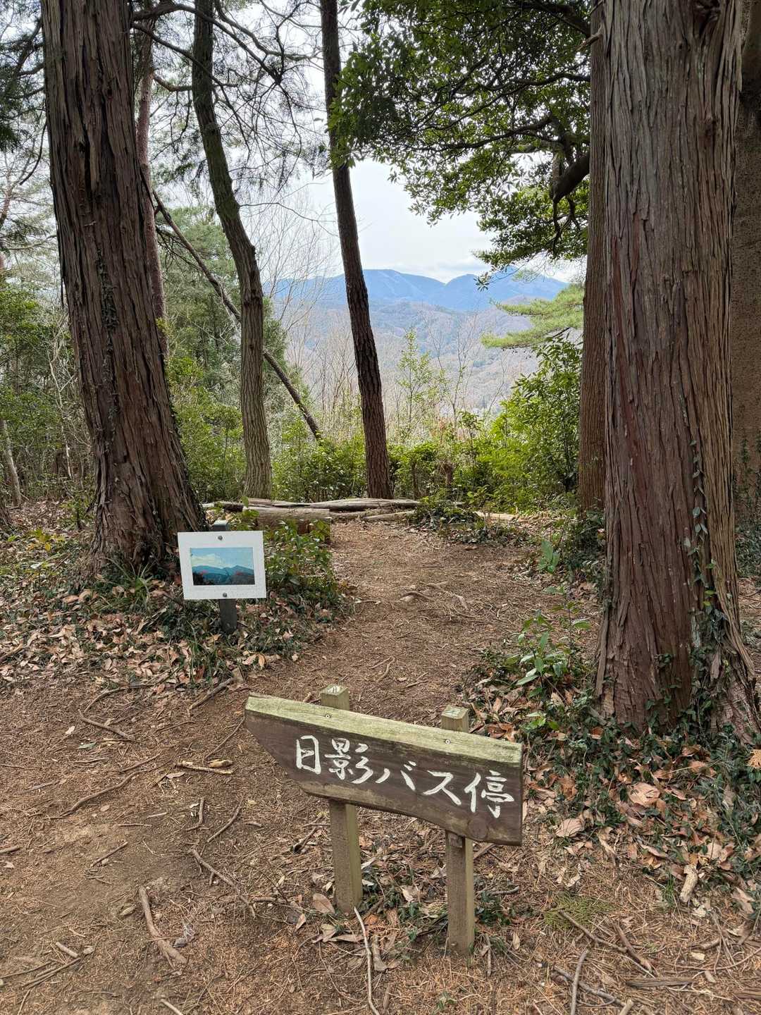 仙元山遊歩道入口-仙元山-城山-大日山-物見山-仙元山遊歩 周回コースの写真