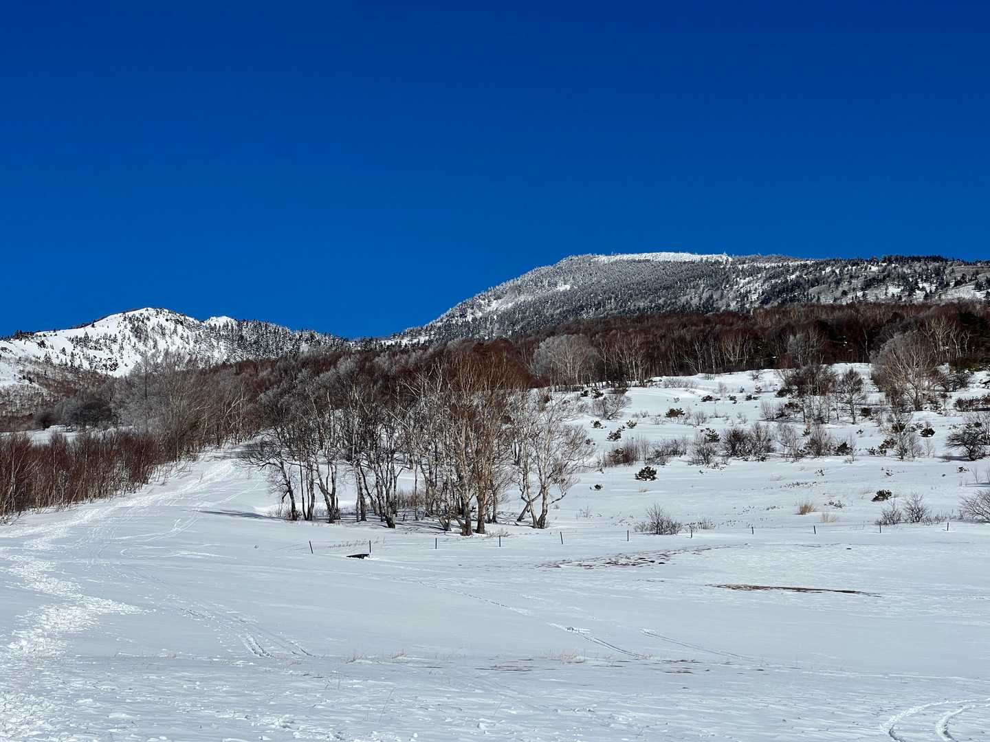 朝は曇っていて見えなかった中四阿・根子岳と四阿山（右）。
