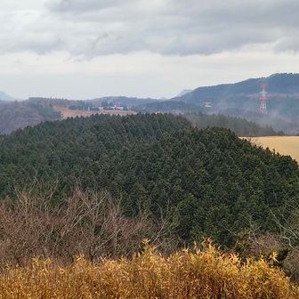 北側　八面山⛰️と鹿嵐山⛰️の山頂が、ちょっと見えます。