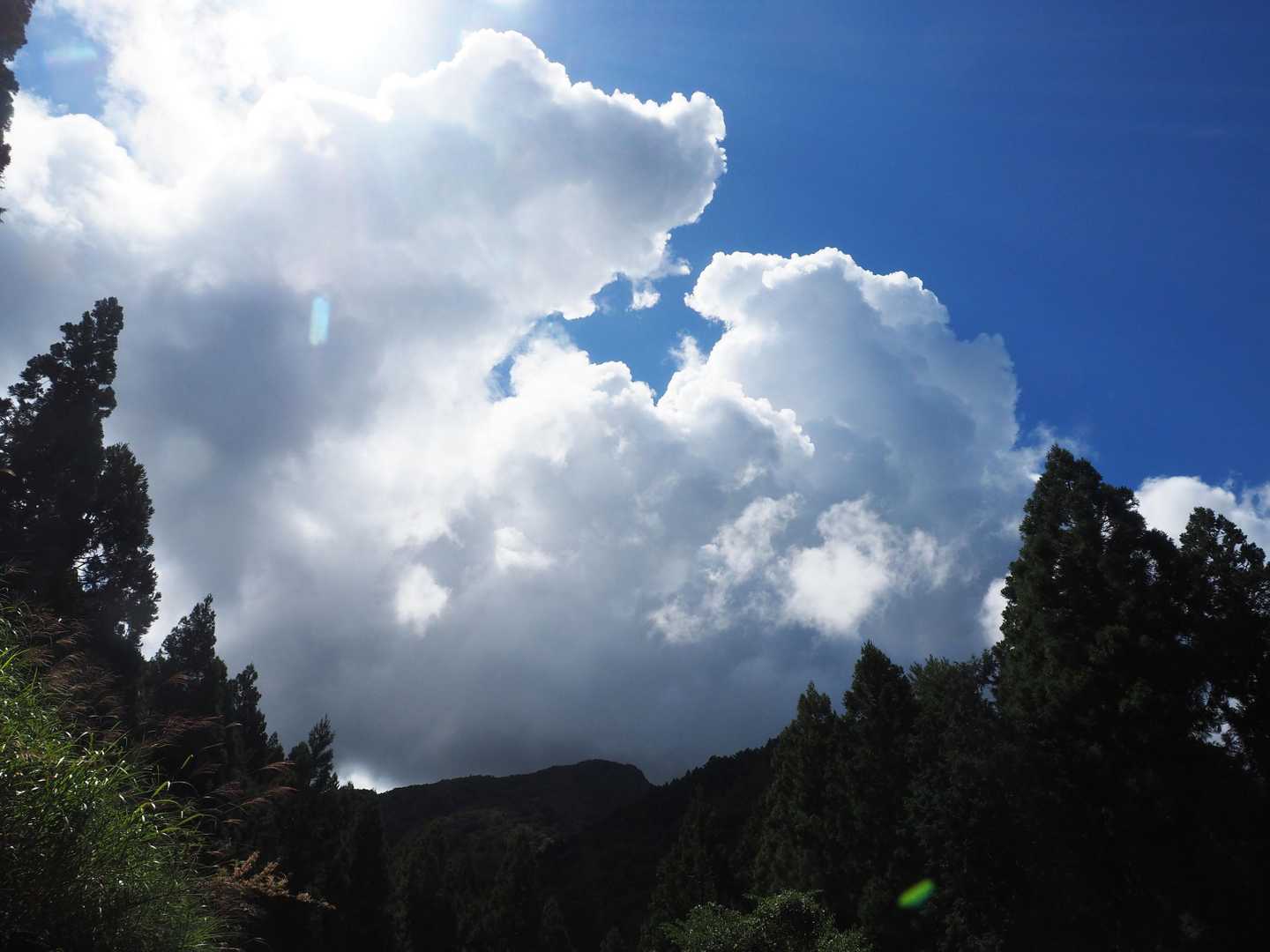 龍王の滝登山口に下山

山頂上空にはヤバそうな雲🙄
雨の遭わずに良かった😅