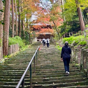 清水寺に向かいます